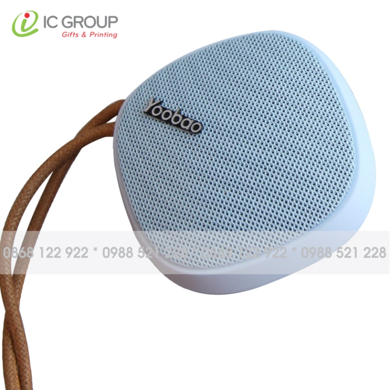 LOA BLUETOOTH 013
